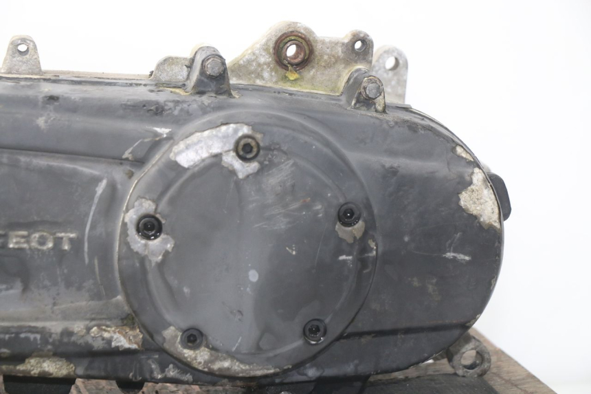 photo de MOTOR PEUGEOT LUDIX 50 (2008 - 2017)