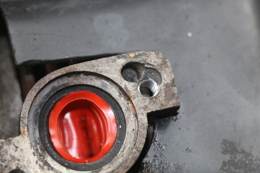 photo de MOTOR PEUGEOT LUDIX 50 (2008 - 2017)