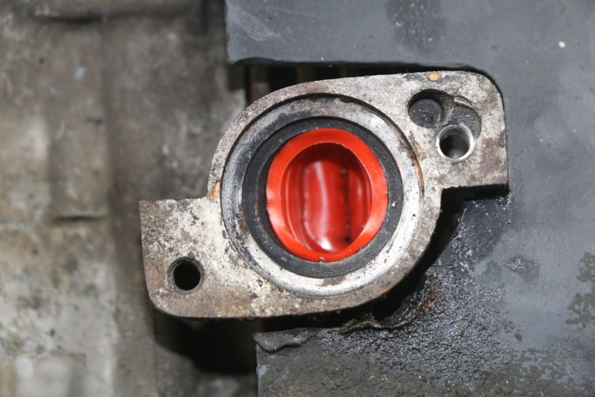 photo de MOTOR PEUGEOT LUDIX 50 (2008 - 2017)