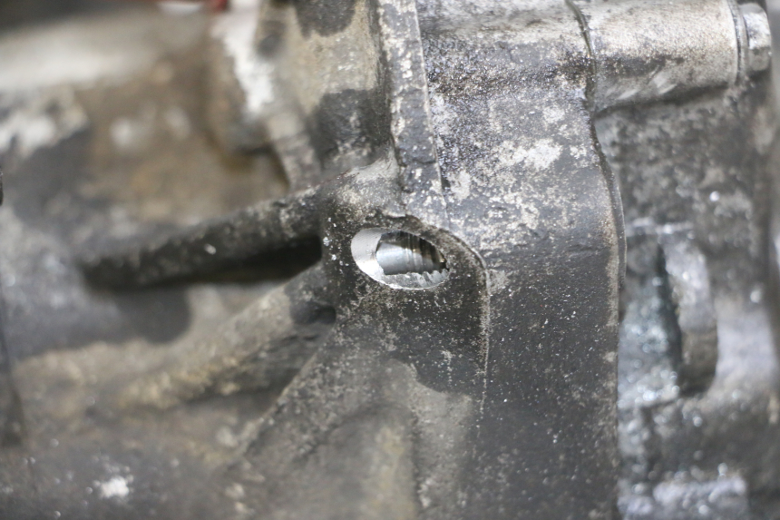 photo de MOTOR GILERA NEXUS 125 (2009 - 2013)