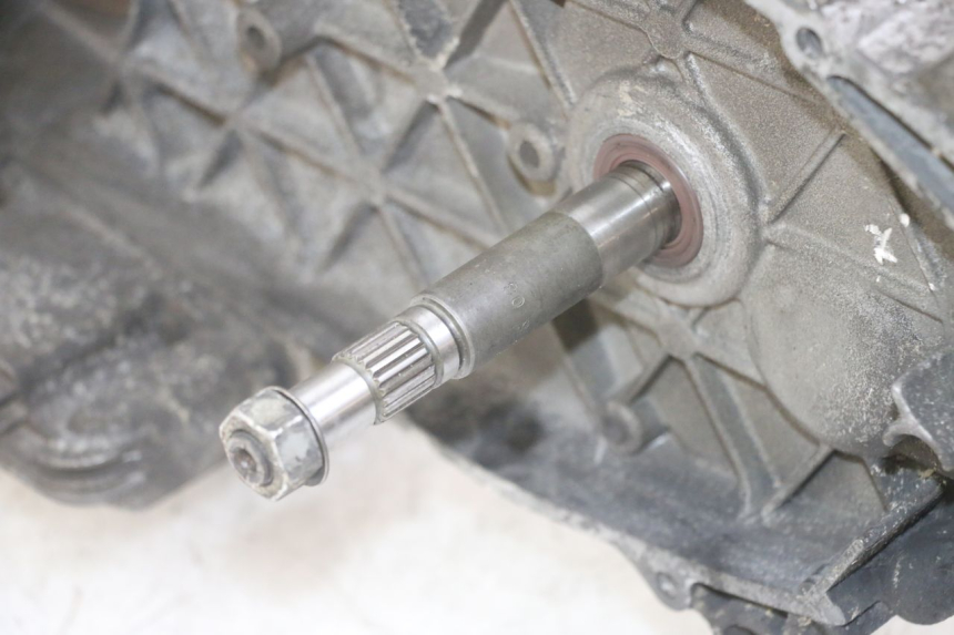 photo de MOTOR GILERA NEXUS 125 (2009 - 2013)