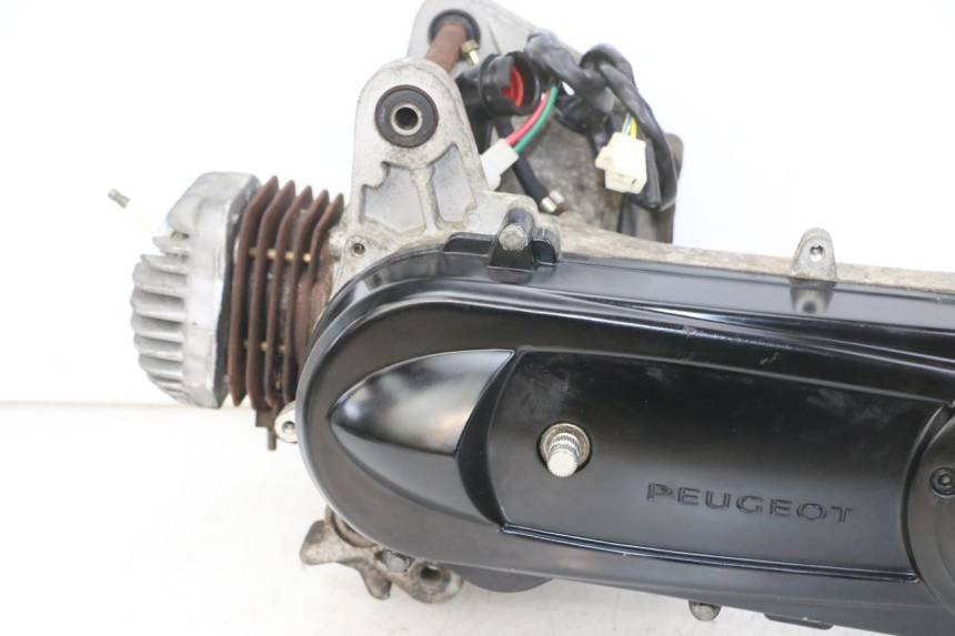 photo de MOTOR PEUGEOT CITYSTAR 2T 50 (2018 - 2021)
