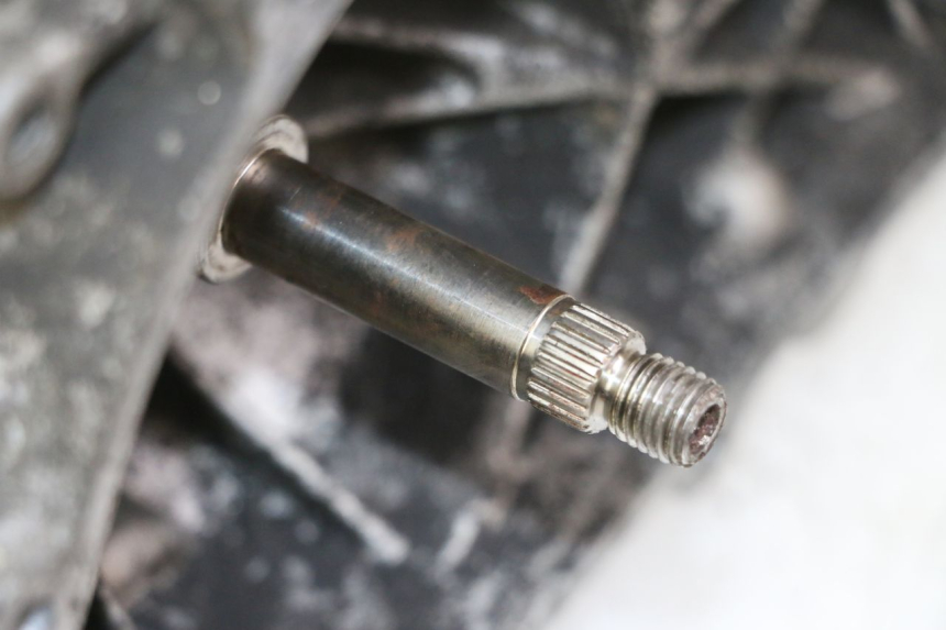 photo de MOTOR PEUGEOT ELYSTAR 50 (2002 - 2014)