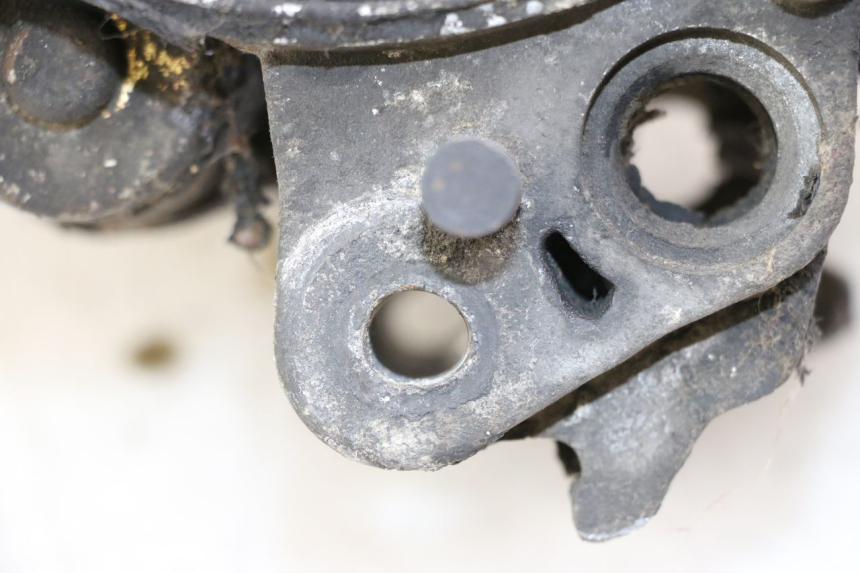 photo de MOTOR PEUGEOT LUDIX 50 (2008 - 2017)
