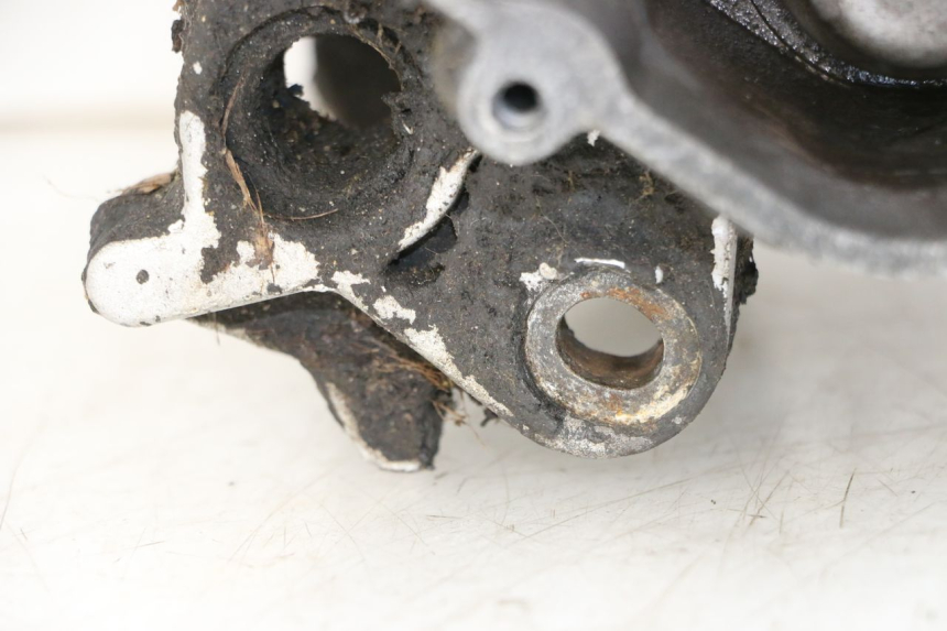 photo de MOTOR PEUGEOT LUDIX 50 (2008 - 2017)