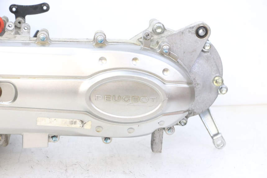 photo de MOTOR PEUGEOT TWEET 4T 50 (2014 - 2019)