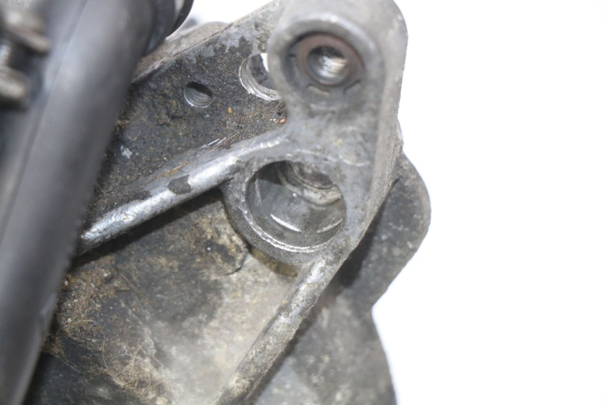 photo de MOTOR PIAGGIO VESPA PRIMAVERA 2T 50 (2013 - 2018)