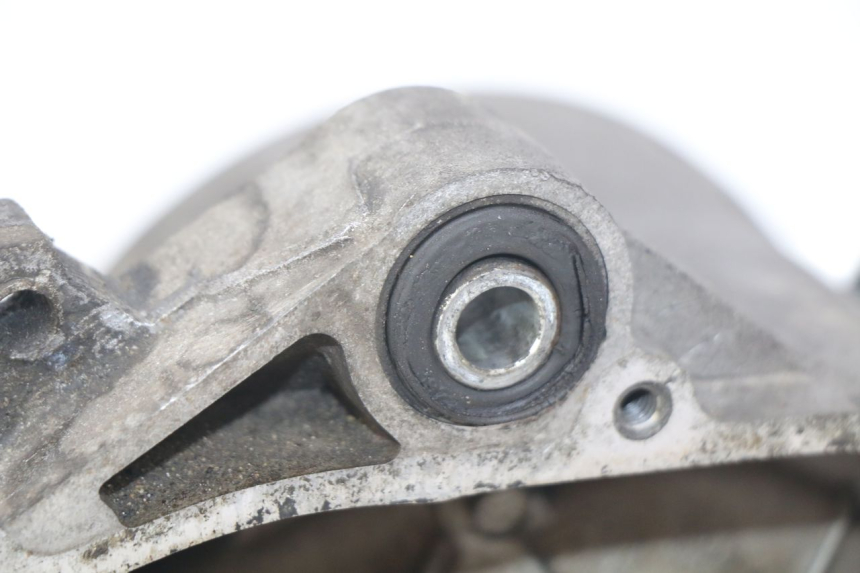 photo de MOTOR PIAGGIO VESPA PRIMAVERA 2T 50 (2013 - 2018)