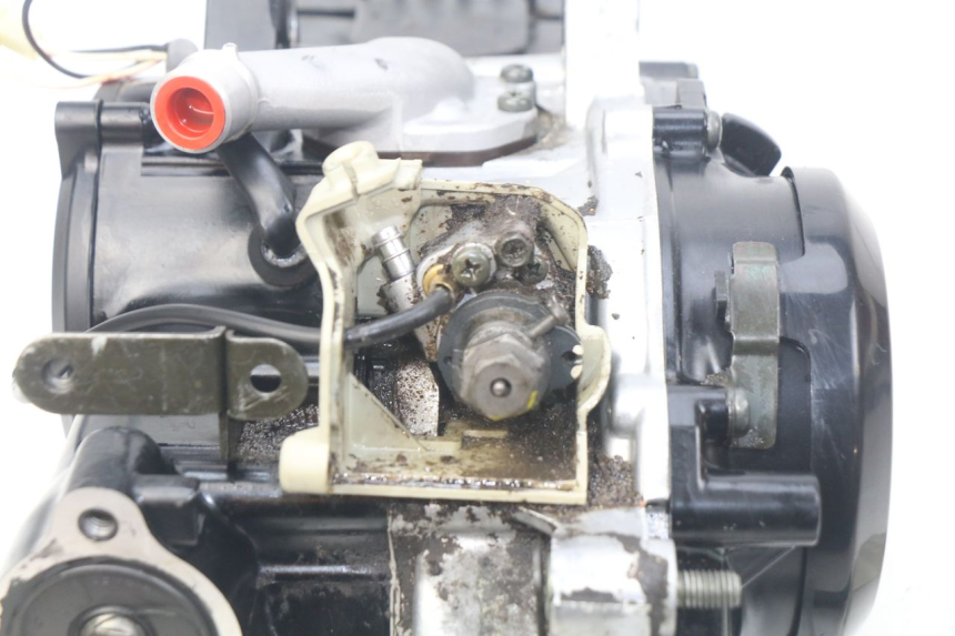 photo de MOTOR YAMAHA PW 50 (1984 - 2020)