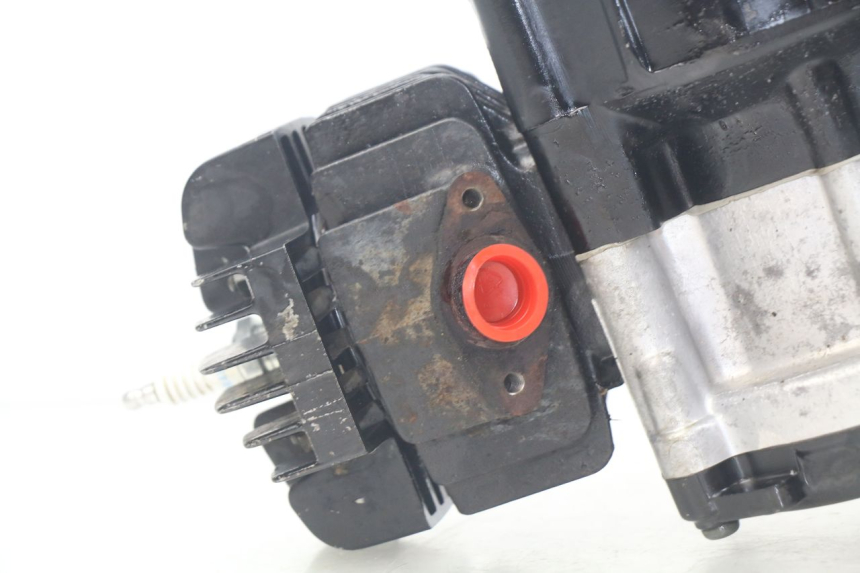 photo de MOTOR YAMAHA PW 50 (1984 - 2020)