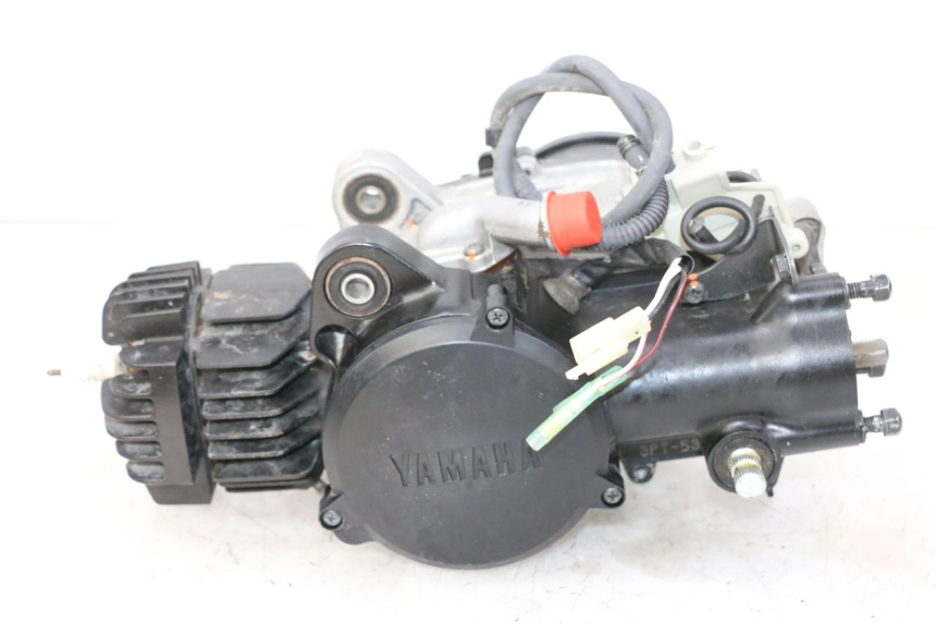photo de MOTOR YAMAHA PW 50 (1984 - 2020)