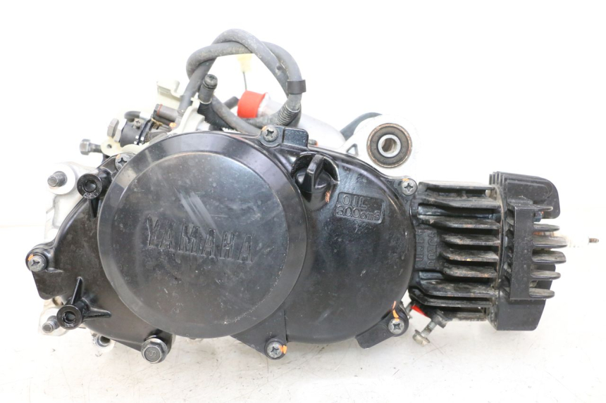 photo de MOTOR YAMAHA PW 50 (1984 - 2020)