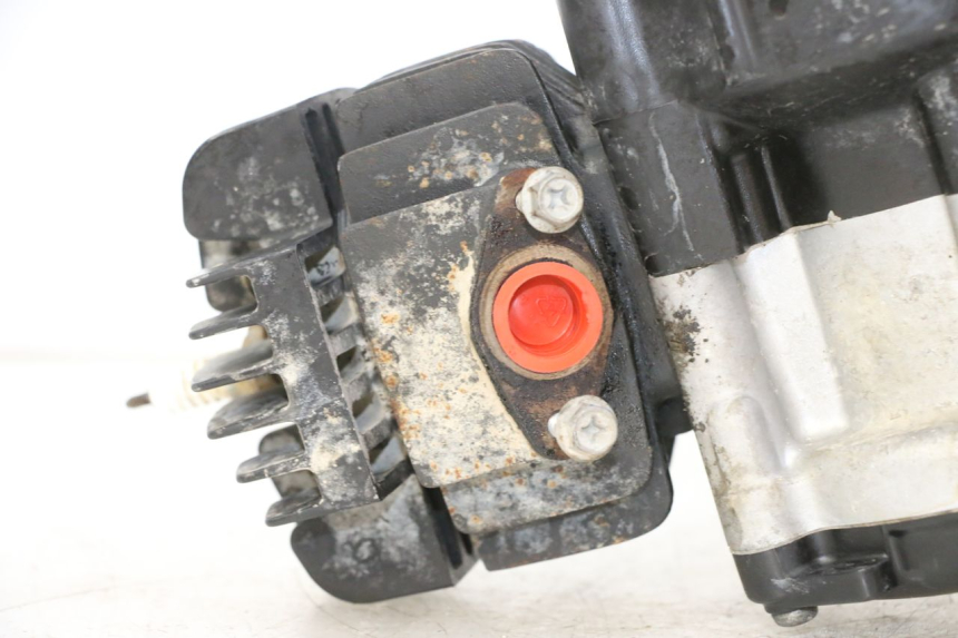 photo de MOTOR YAMAHA PW 50 (1984 - 2020)