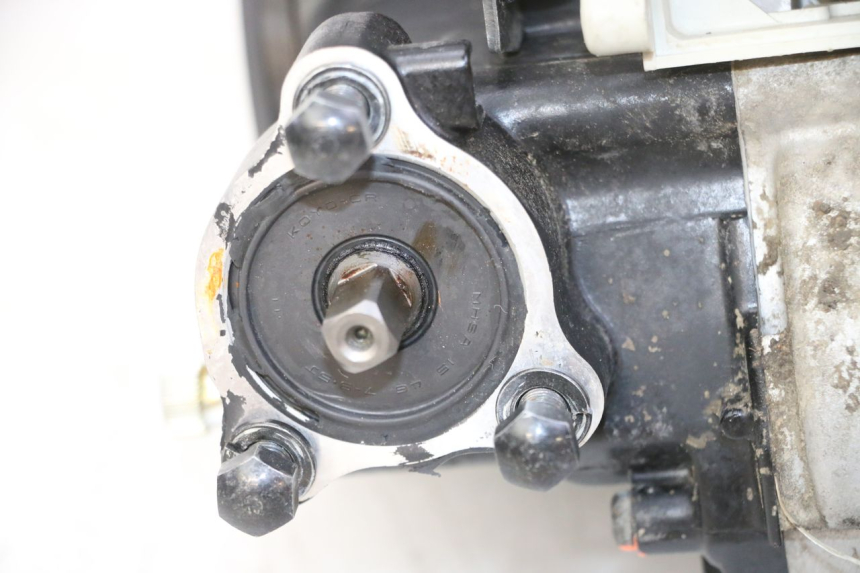 photo de MOTOR YAMAHA PW 50 (1984 - 2020)