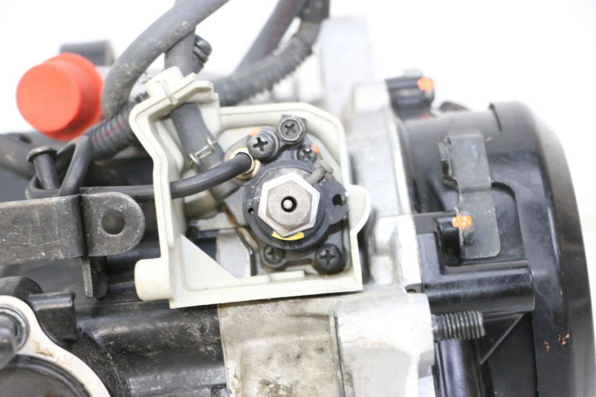 photo de MOTOR YAMAHA PW 50 (1984 - 2020)