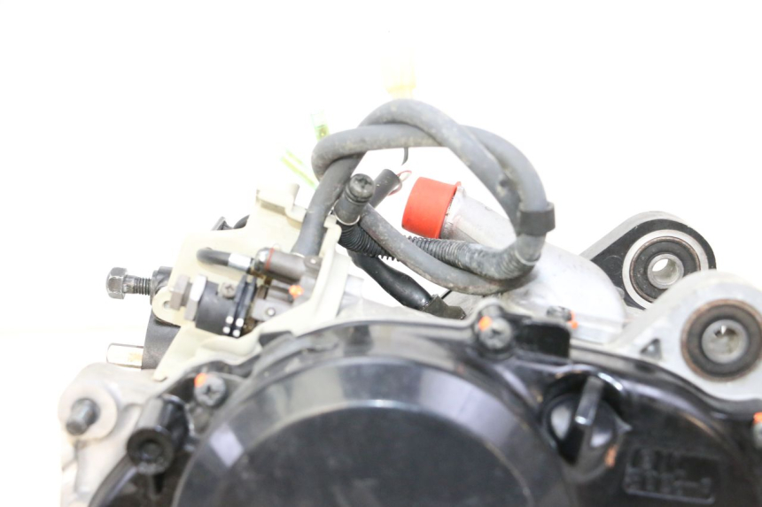 photo de MOTOR YAMAHA PW 50 (1984 - 2020)