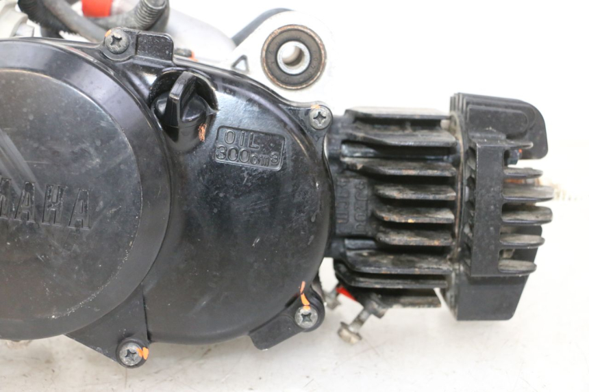photo de MOTOR YAMAHA PW 50 (1984 - 2020)