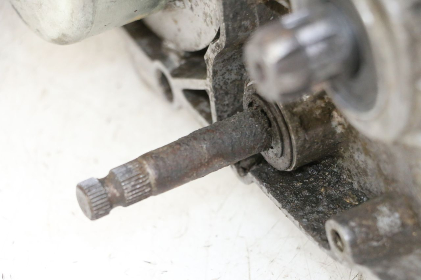 photo de MOTOR YAMAHA PW 80 (1983 - 2014)