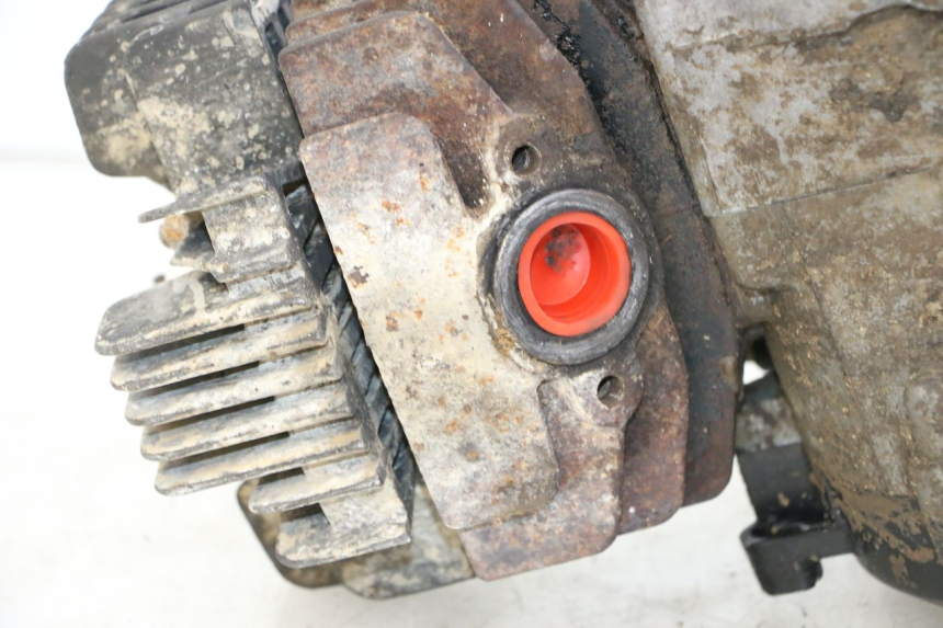 photo de MOTOR YAMAHA PW 80 (1983 - 2014)