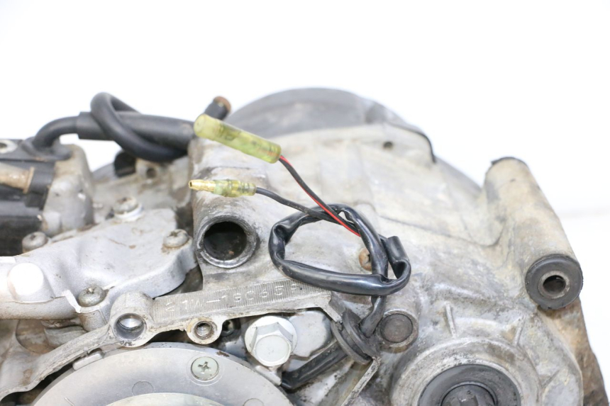 photo de MOTOR YAMAHA PW 80 (1983 - 2014)