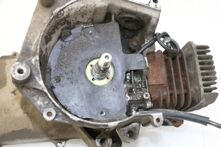 photo de MOTOR TNT MOTOR ROMA 10' 2T 50 (2011 - 2018)