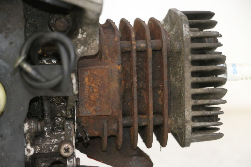 photo de MOTOR TNT MOTOR ROMA 10' 2T 50 (2011 - 2018)