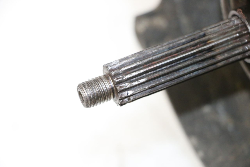 photo de MOTOR TNT MOTOR ROMA 10' 2T 50 (2011 - 2018)