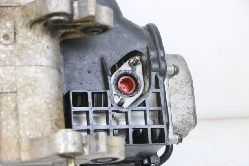 photo de MOTOR TNT MOTOR ROMA 10' 4T 50 (2019 - 2022) - Weitere Ansicht des Artikels