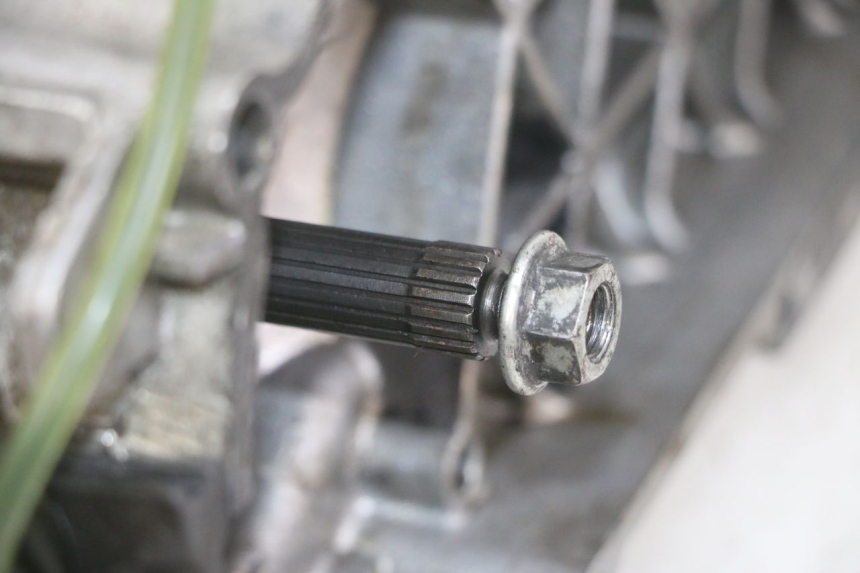 photo de MOTOR GILERA RUNNER SL 50 (2006 - 2009)