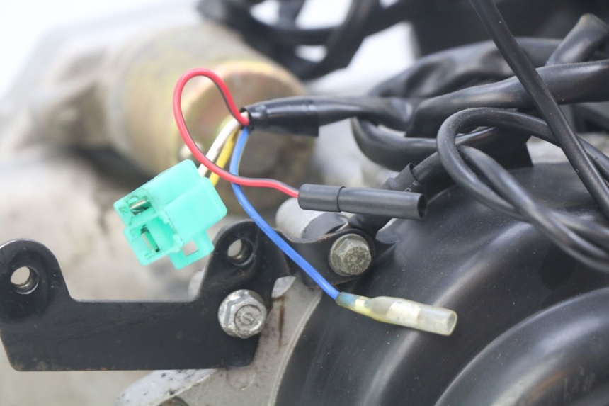 photo de MOTOR JM MOTORS SANTANA 50 (2014 - 2020)