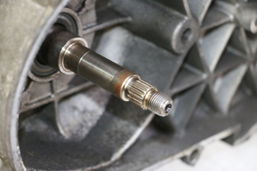 photo de MOTOR PEUGEOT SATELIS 125 (2006 - 2009)