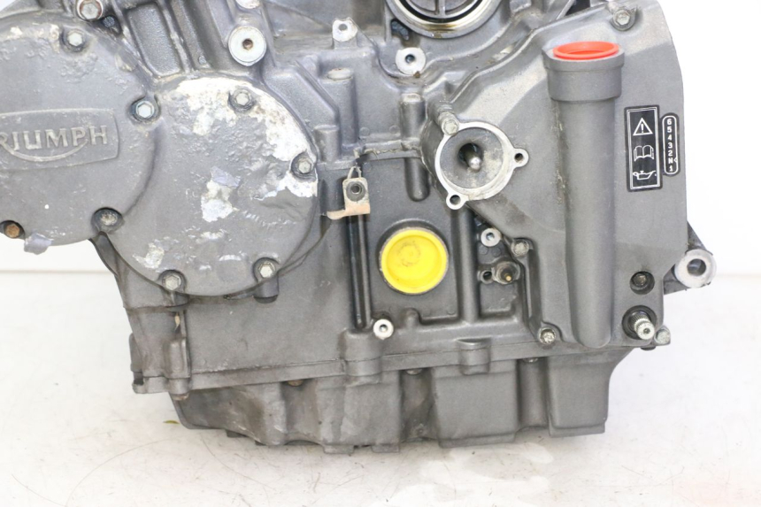 photo de MOTOR TRIUMPH SPRINT 900 (1995 - 1998)