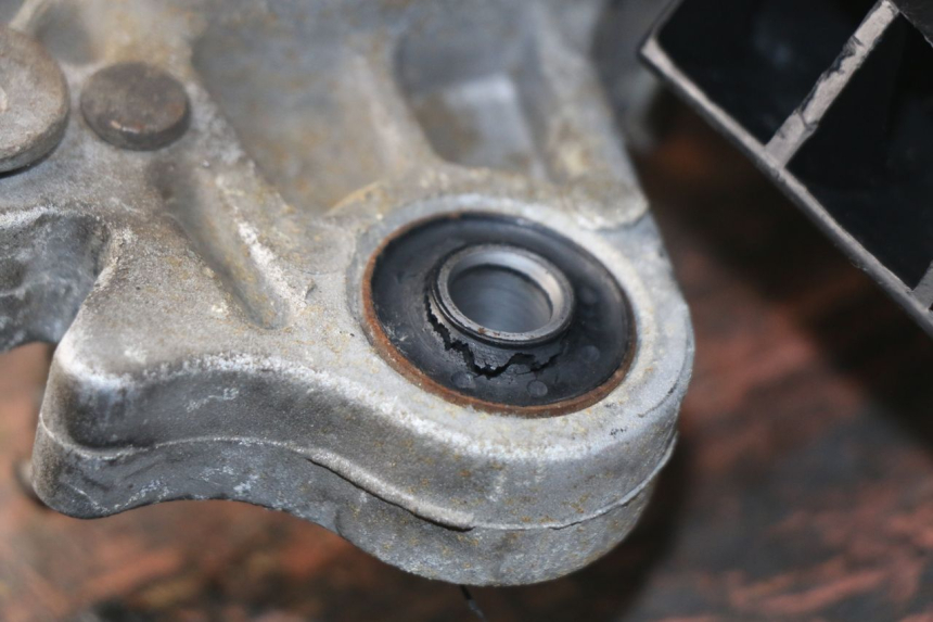 photo de MOTOR JM MOTORS SUNNY 50 (2017 - 2020)