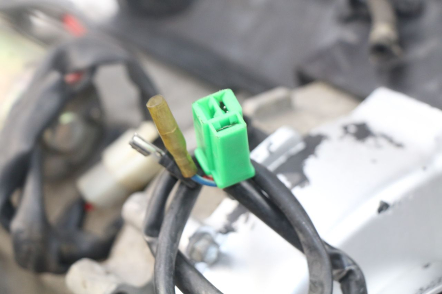 photo de MOTOR JM MOTORS SUNNY 50 (2017 - 2020)