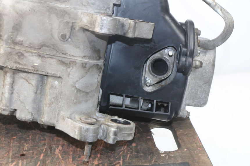 photo de MOTOR JM MOTORS SUNNY 50 (2017 - 2020)