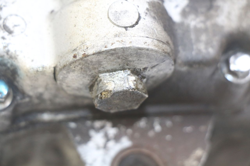 photo de MOTOR PEUGEOT TWEET 4T 50 (2018 - 2020)