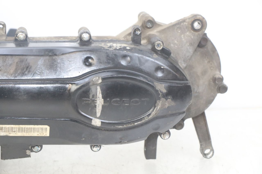 photo de MOTOR PEUGEOT TWEET 4T 50 (2018 - 2020)