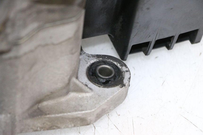 photo de MOTOR PEUGEOT TWEET PRO CARGO 50 (2018 - 2020)