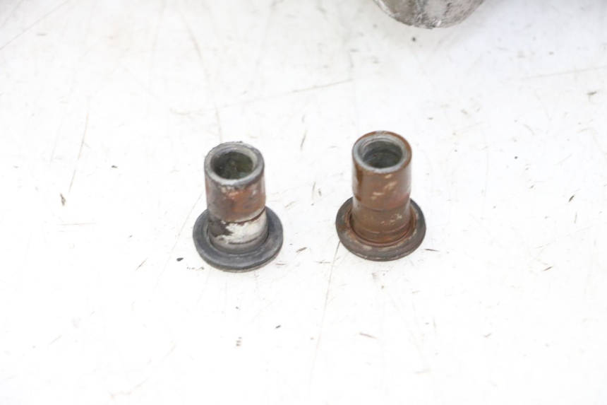 photo de MOTOR PEUGEOT TWEET PRO CARGO 50 (2018 - 2020)