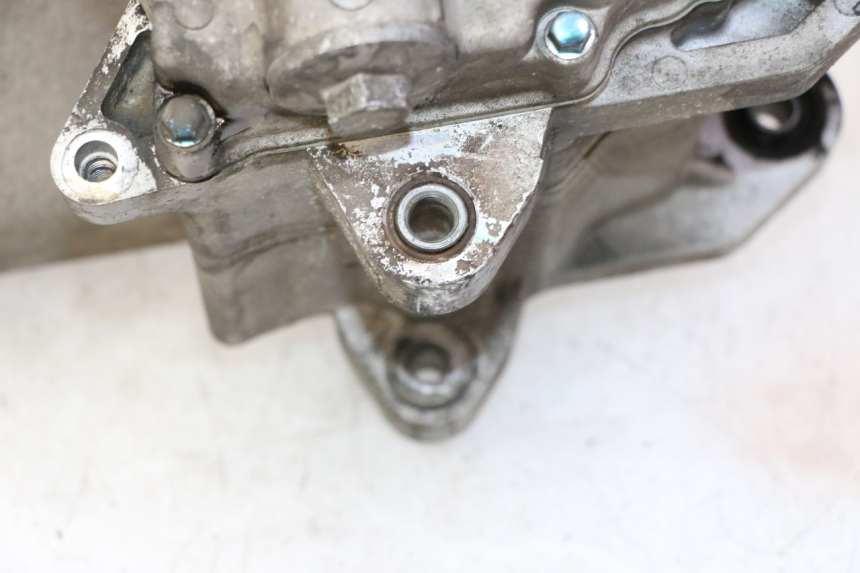 photo de MOTOR PEUGEOT TWEET PRO CARGO 50 (2018 - 2020)