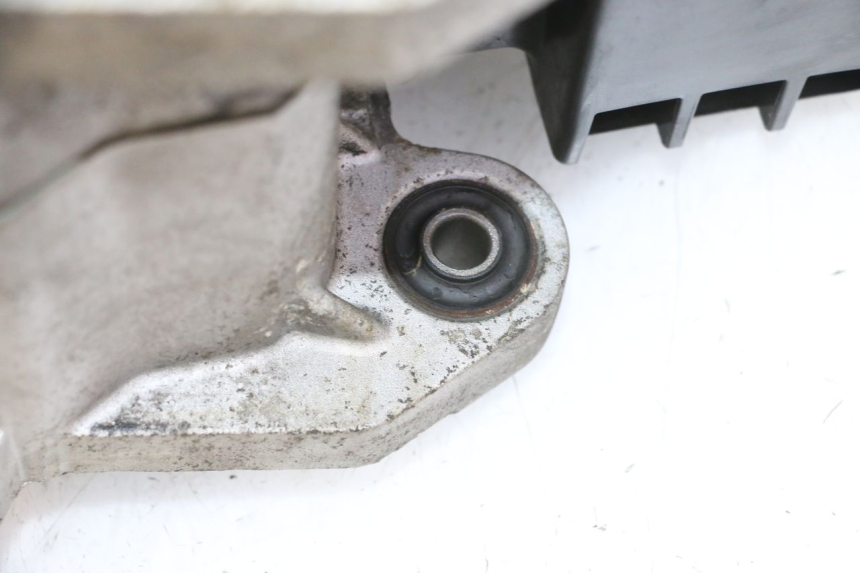 photo de MOTOR PEUGEOT TWEET PRO CARGO 50 (2018 - 2020)