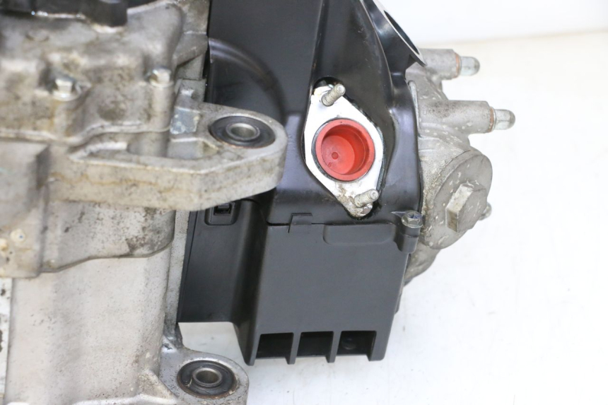 photo de MOTOR PEUGEOT TWEET PRO CARGO 50 (2018 - 2020)