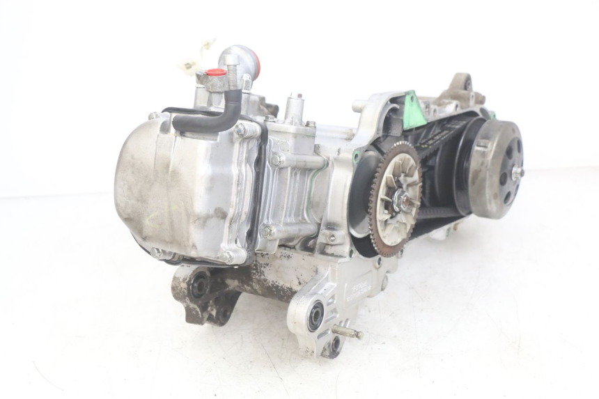 photo de MOTOR UNIVERSAL BIKE ZN50QT-11B 50 (2018 - 2021)