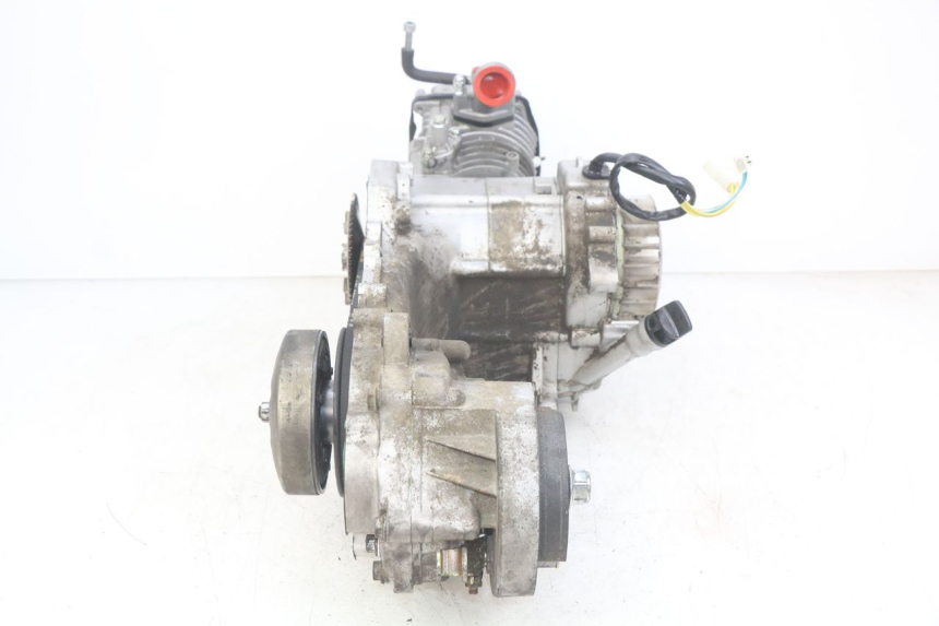 photo de MOTOR UNIVERSAL BIKE ZN50QT-11B 50 (2018 - 2021)