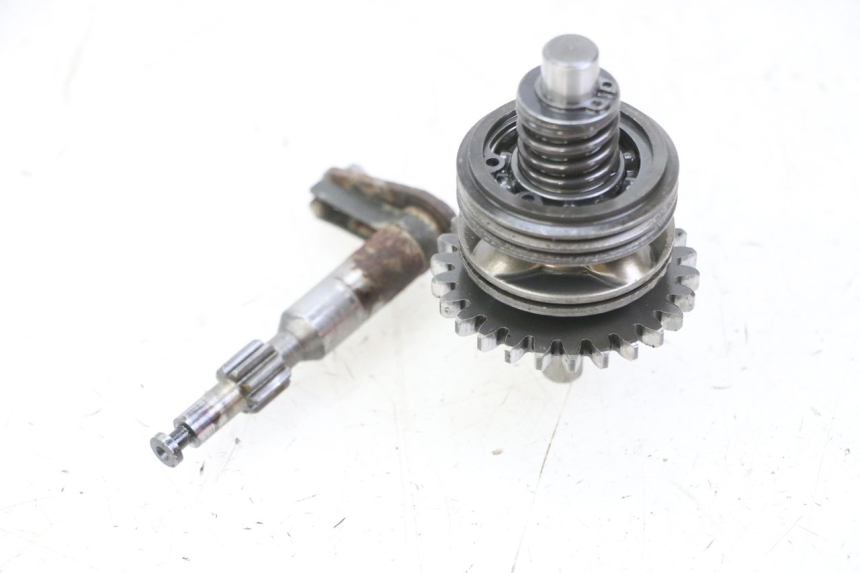 photo de AUSPUFFKLAPPE MOTOR HONDA MTX TC02 125 (1987 - 1989)