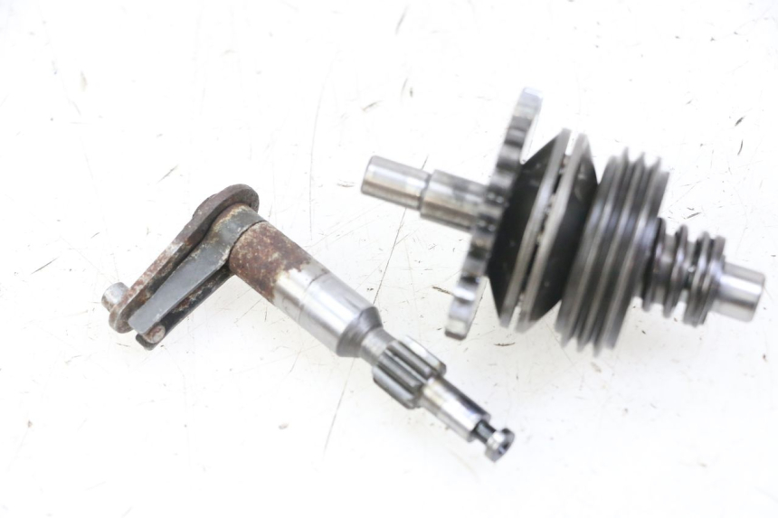 photo de AUSPUFFKLAPPE MOTOR HONDA MTX TC02 125 (1987 - 1989)