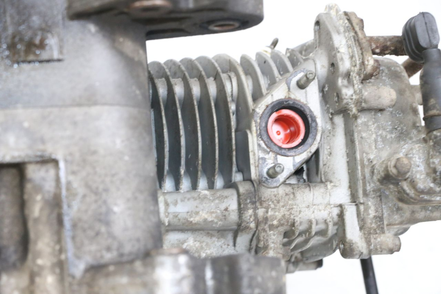 photo de MOTOR BEELINE VELOCE 4T 50 (2011 - 2020)
