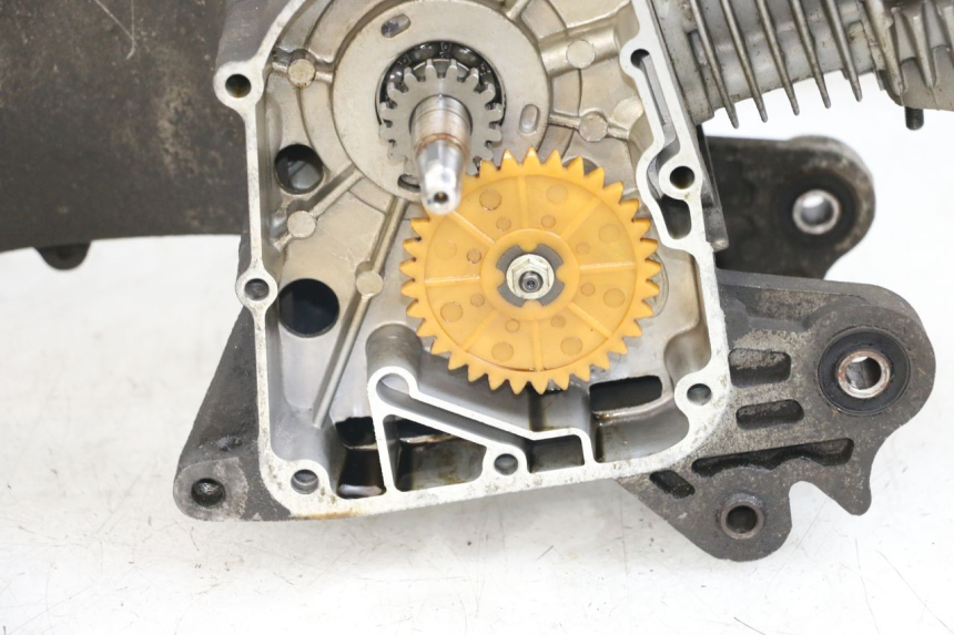 photo de MOTOR BEELINE VELOCE 4T 50 (2011 - 2020)