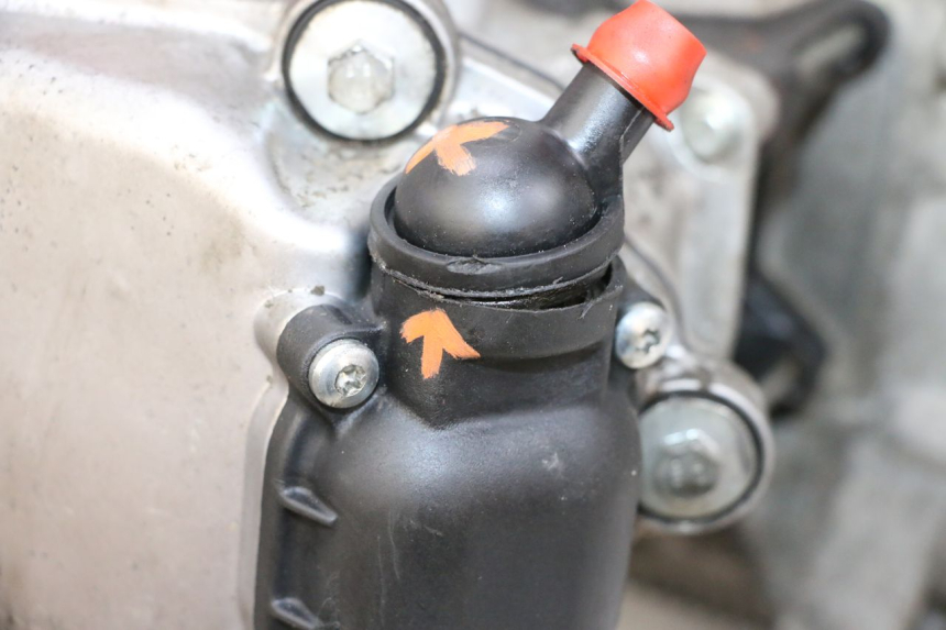 photo de MOTOR PIAGGIO VESPA GTS SUPER IE 125 (2009 - 2016) - Oberflächenzustand und Material