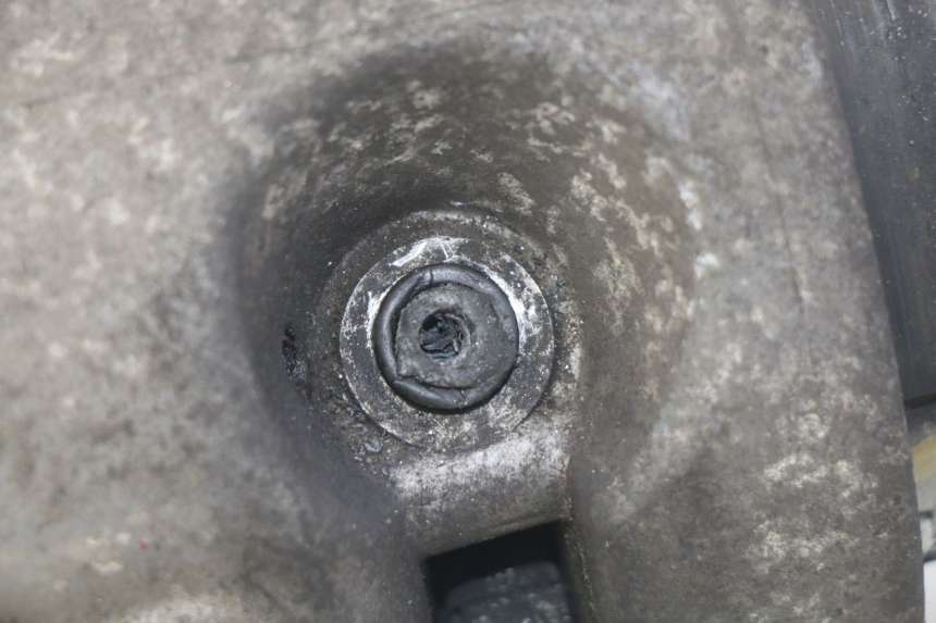 photo de MOTOR PIAGGIO VESPA LX 2T 50 (2005 - 2013)